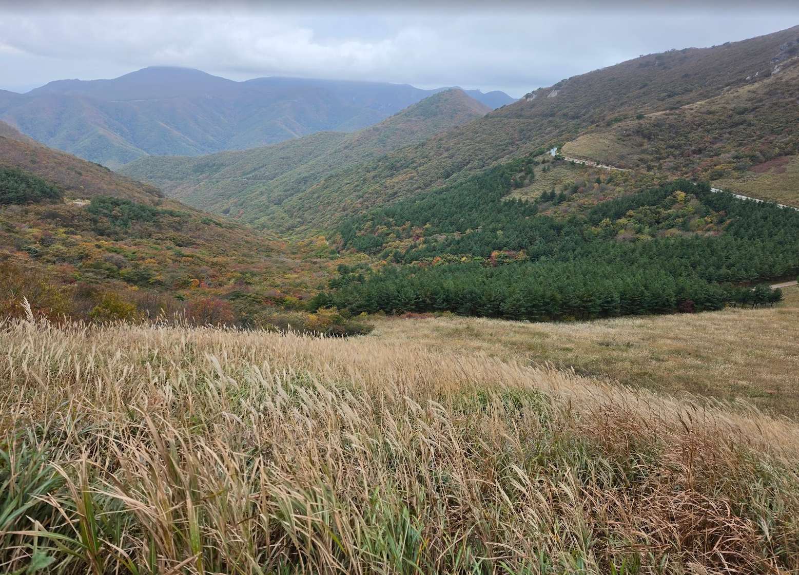 Sinbulsan (신불산) silver grass ridge